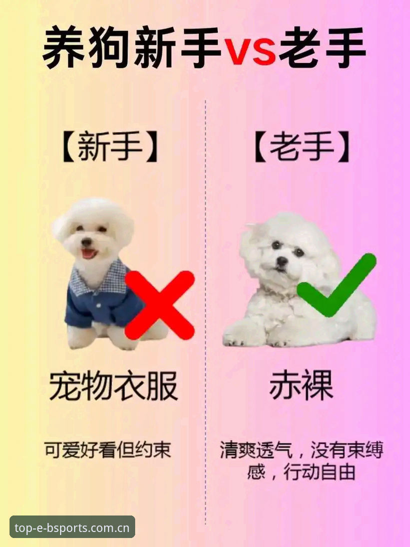 bsports新用户教程 新手注册vs老手推荐:Bsports体育平台入门教程与官方下载全面对比